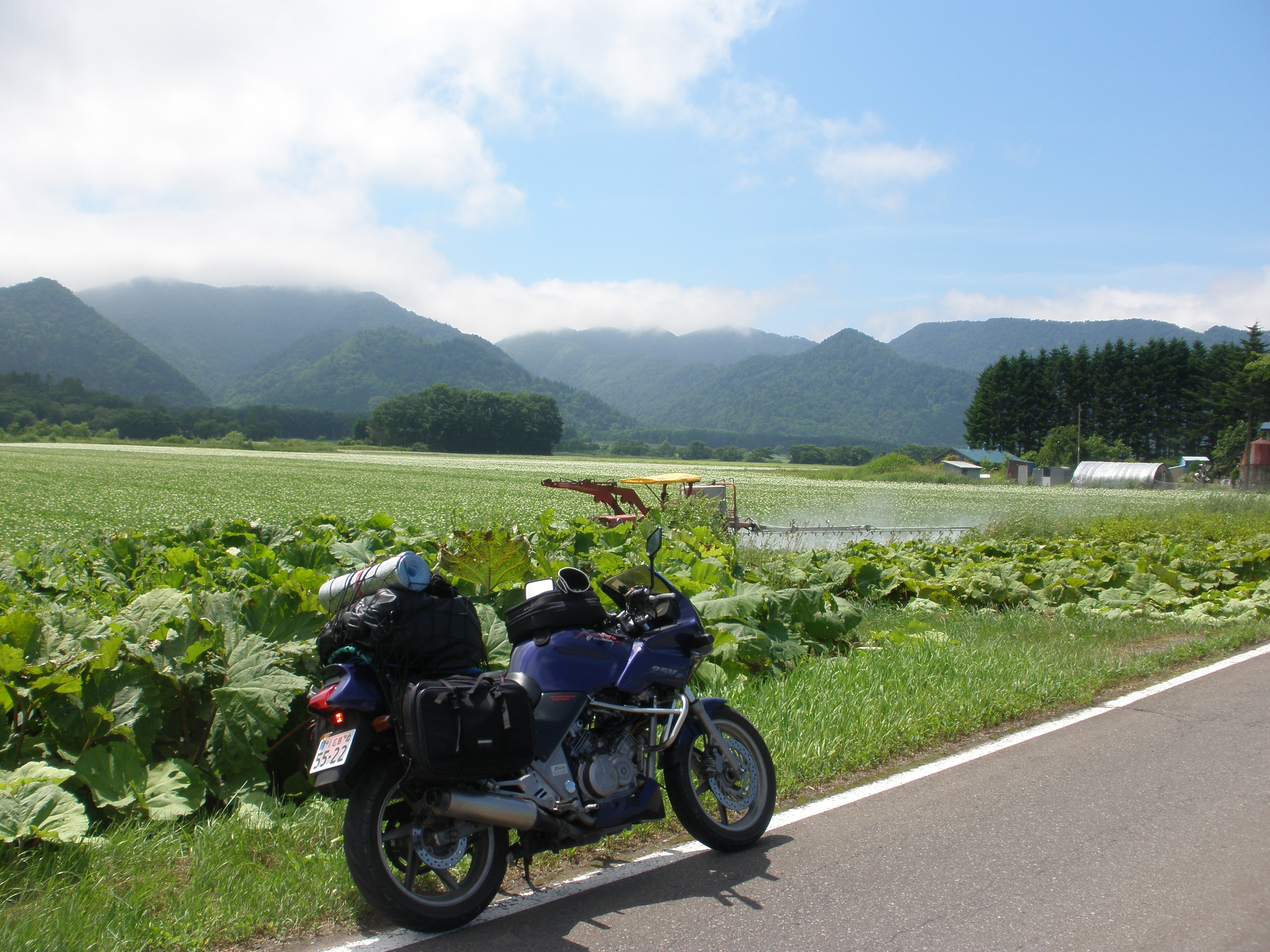 愛車のゼルビス250の魅力について～乗り心地や性能など2年間所有し